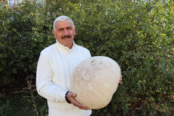 9 kiloluk mantar görenleri şaşırttı