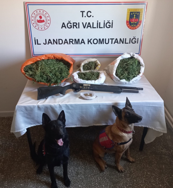 Ağrı’da 15 kilo esrar ele geçirildi 