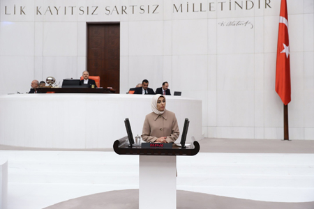 AK Parti MKYK Üyesi ve Erzurum Milletvekili Zehra Taşkesenlioğlu Ban, TBMM genel kurulunda konuştu