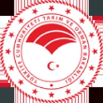ARAÇ KİRALAMA HİZMETİ ALINACAKTIR