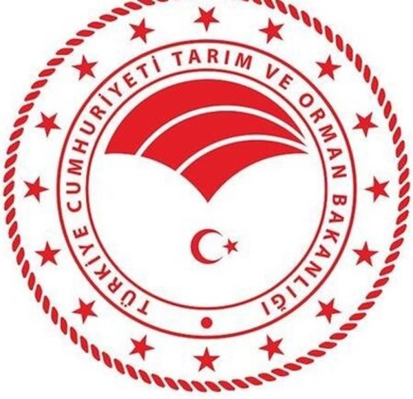 ARAÇ KİRALAMA HİZMETİ ALINACAKTIR