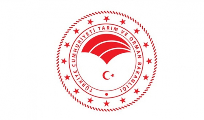 ARAÇ KİRALAMA HİZMETİ ALINACAKTIR