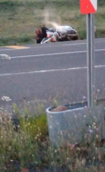 Başıboş hayvan zincirleme kazaya neden oldu, 5 araç birbirine girdi