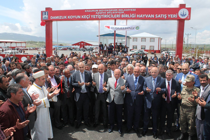 Başkan Şengül: “Yeni hayvan pazarları fayda sağlayacak”