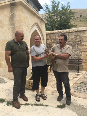 Bir gözü kör olan yavru dağ keçisine yardım eli