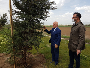 Büyükşehir’den Erzurum’a yemyeşil yatırım