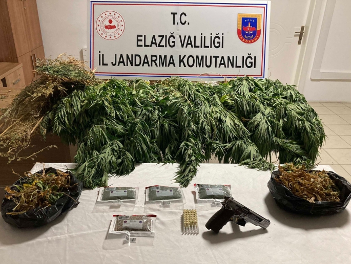 Elazığ'da 1 kilo esrar ve 17 kök kenevir ele geçirildi