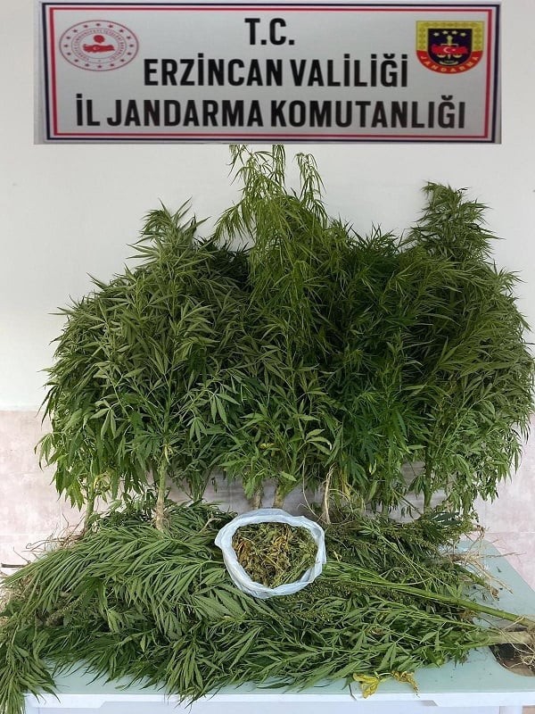 Erzincan’da bir miktar Hint keneviri ve esrar ele geçirildi