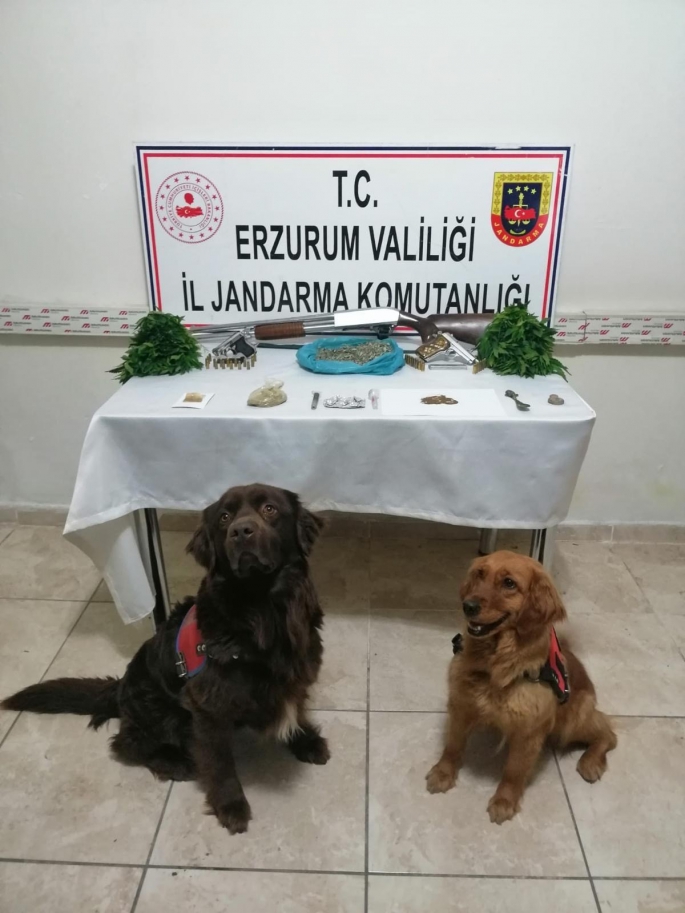 Erzurum’da hayvan hırsızlığı ve uyuşturucu operasyonu: 6 tutuklu