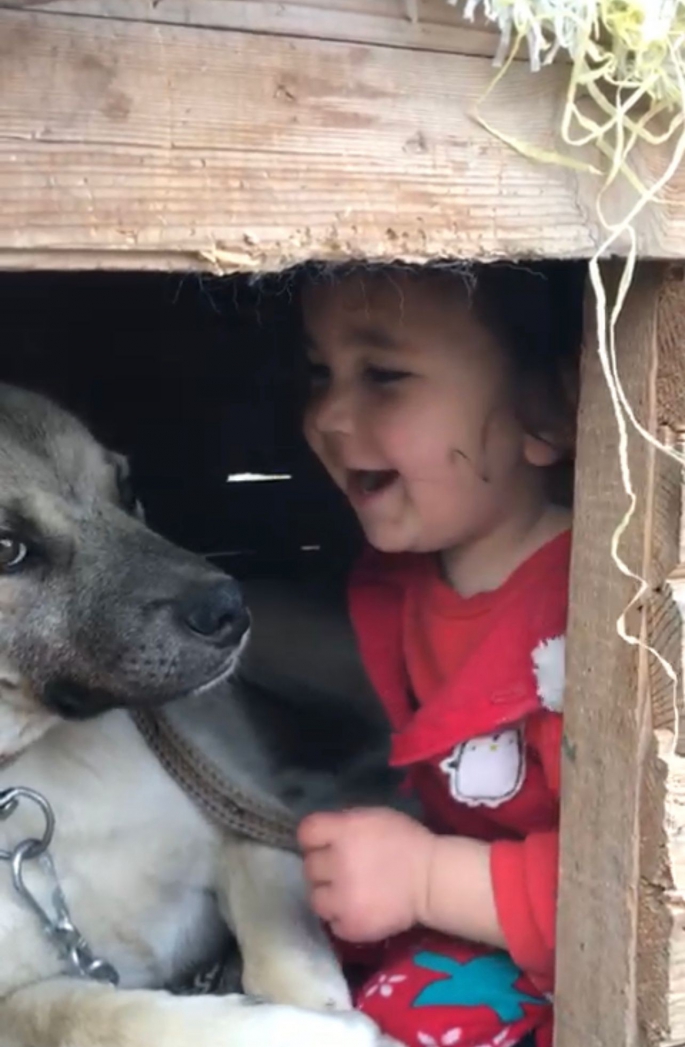 Erzurum’da küçük çocuğun köpek sevgisi görenleri gülümsetti
