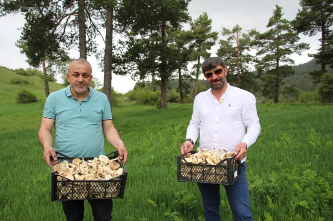Erzurum'da vatandaşlara 