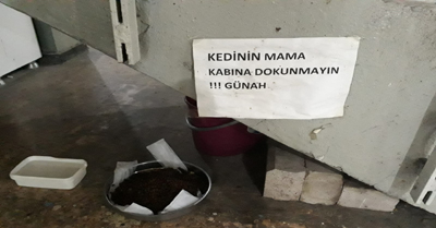 Erzurum onlar için zor şehir