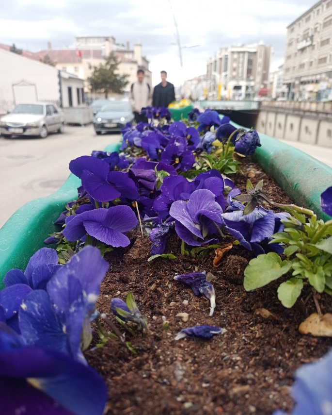 ERZURUM RENGÂRENK OLDU