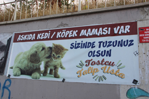 Erzurumlu esnaftan askıda mama ve askıda maske uygulaması