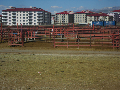 Eski hayvan pazarına kilit vuruldu