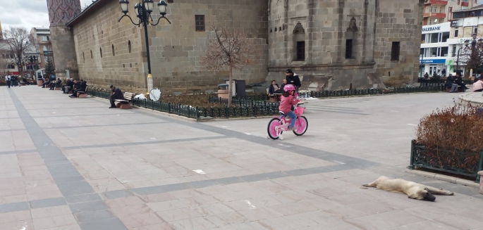 GÜNEŞLİ HAVADA FIRSAT TEPİLMİYOR