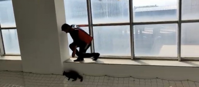 Hastanede mahsur kalan kedi itfaiye ekipleri tarafından kurtarıldı