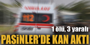 Hayvan otlatma kavgası kanlı bitti: 1 ölü, 3 yaralı