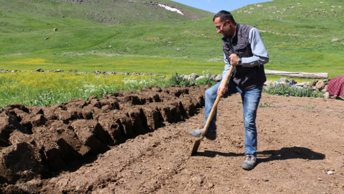 Köylünün doğal yakacağı: Tezek