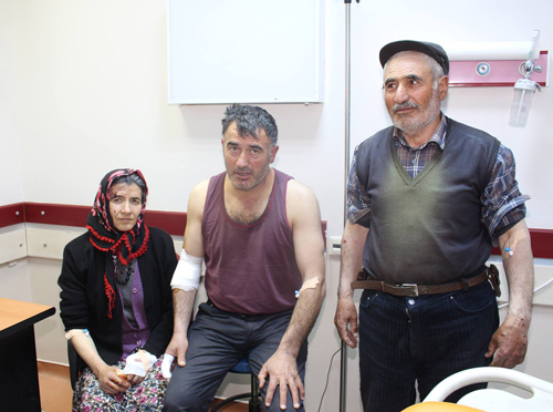 Kurt köylülere saldırdı