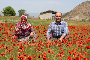 Oltu’da gelincikler doğayı süsledi