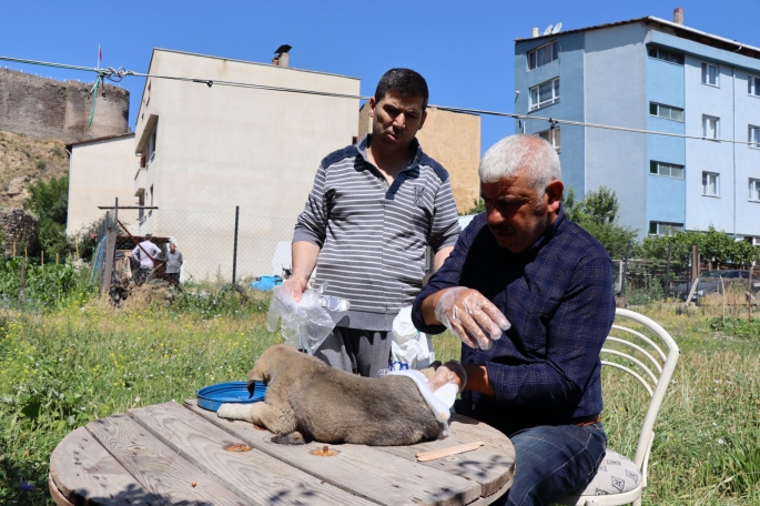 Otomobilin çarptığı yavru köpeğe vatandaş sahip çıktı