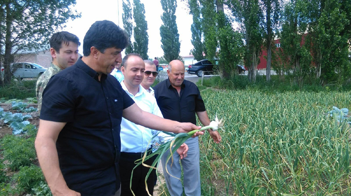 Pasinler’de alternatif ürün Sarımsak