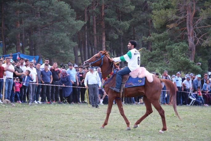 Şenkayalılar bal festivalinde stres attı