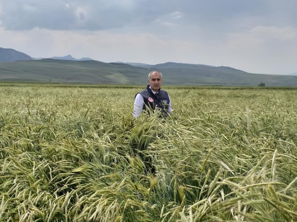 Sertifikalı tohumda Erzurum farkı