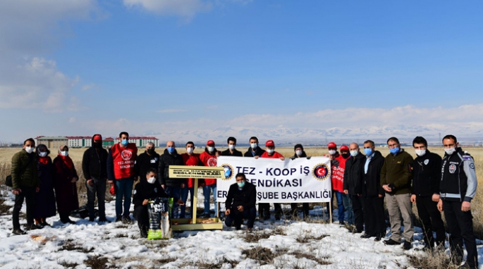 Tez-Koop-İş’ten, ETÜ’nün sokak hayvanlarına yönelik uygulamasına destek