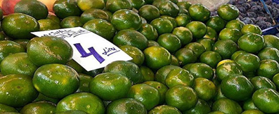 TEZGAHLARDA YERİNİ ALDI
