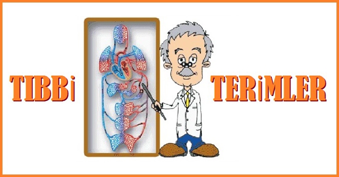 TIBBI TERİMLERİ BİLEN OLMADI 